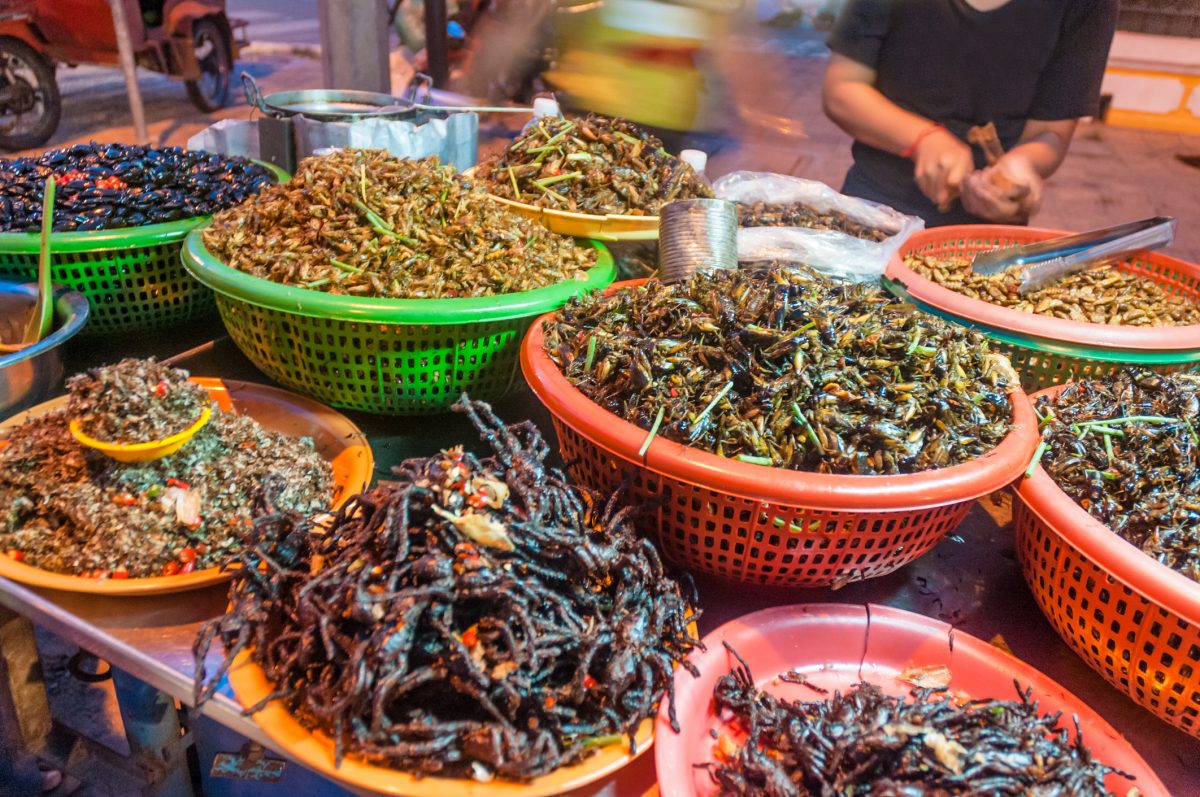 Fried Insects And Bugs For Sale In Phnom Penh, Cambodia