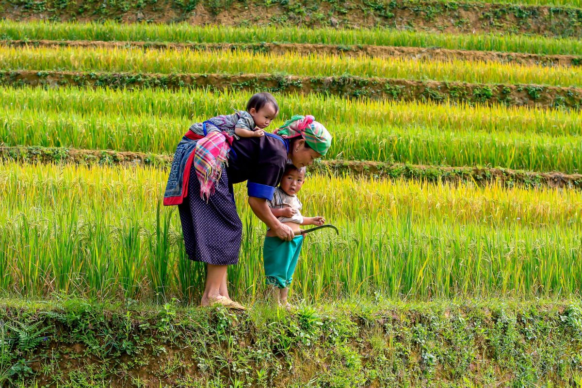 Vietnam (33)