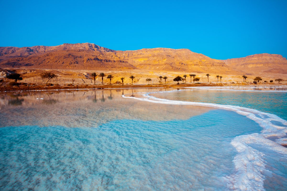 Dead Sea seashore with palm trees and mountains on background