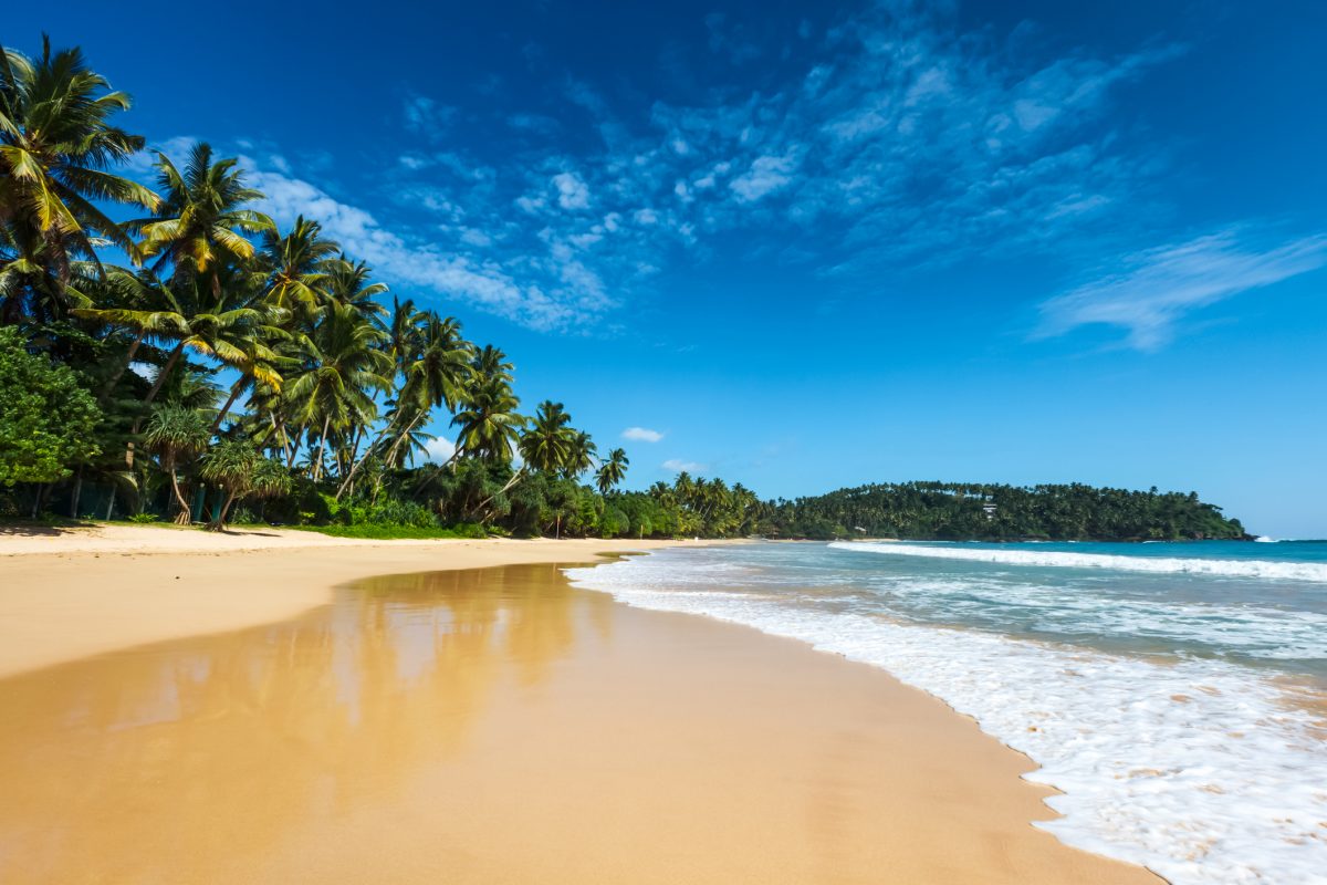 Idyllic beach. Sri Lanka